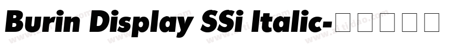 Burin Display SSi Italic字体转换